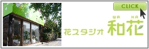 花スタジオ